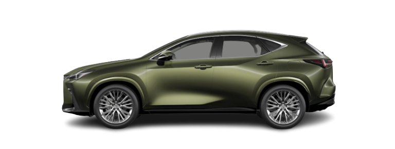Terrane Khaki