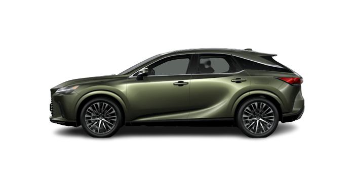 Terrane Khaki